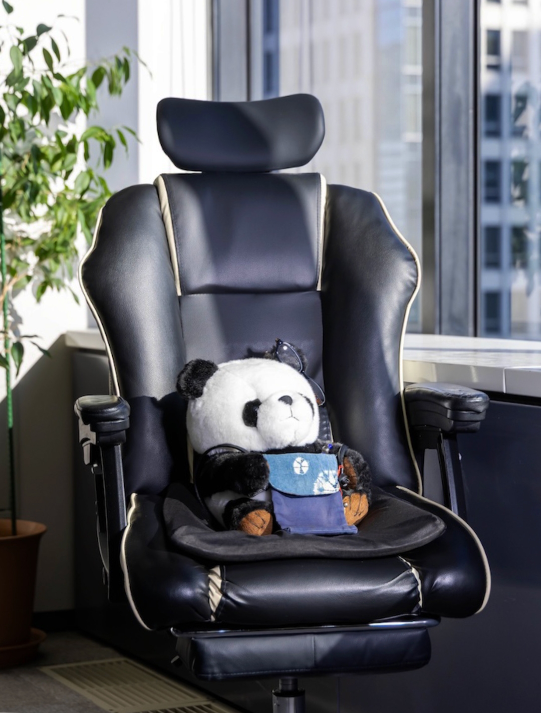 代表取締役 古谷芳康